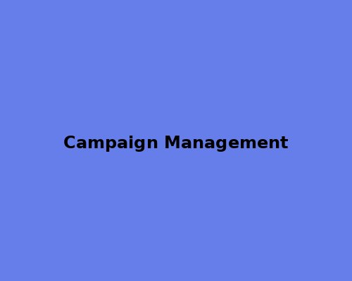 Campaign Management Interface